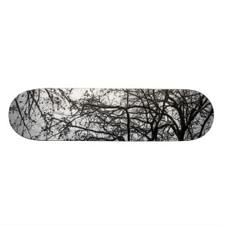 first snow skateboard