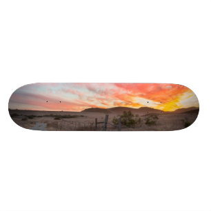 First Sunset of the Day Skateboard