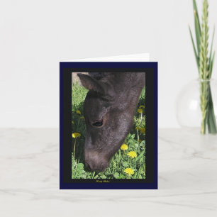 'First Taste' NoteCards
