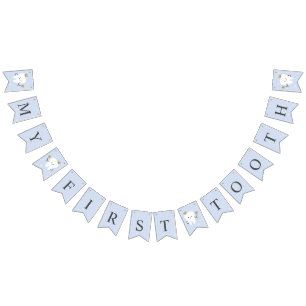 First Tooth party bunting banner