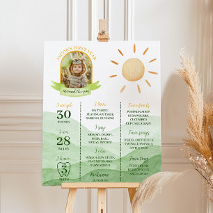 First Trip Around Sun Birthday Milestone Poster