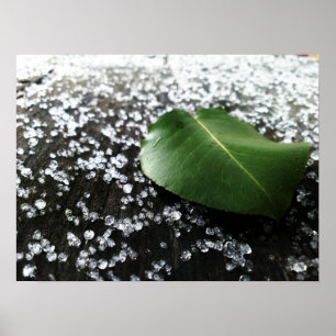 First Winter Weather Poster