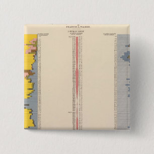 Fiscal Chart, Statistical US Lithograph 15 Cm Square Badge