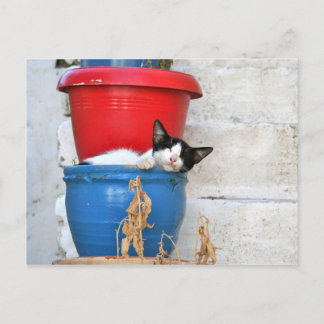 Fiscardo, Kefalonia Postcard