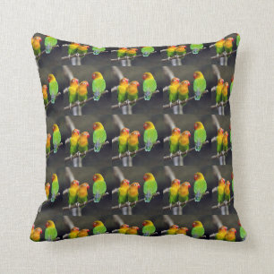 Fischer's Lovebird Cushion