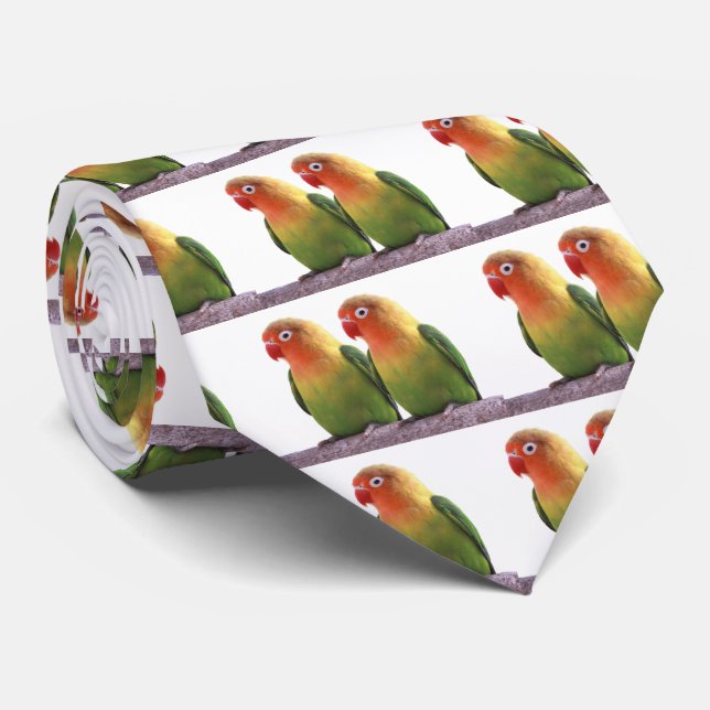 Fischer's Lovebird Tie (Rolled)