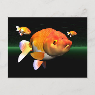 fish4 postcard