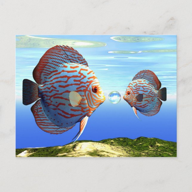 fish5 postcard (Front)