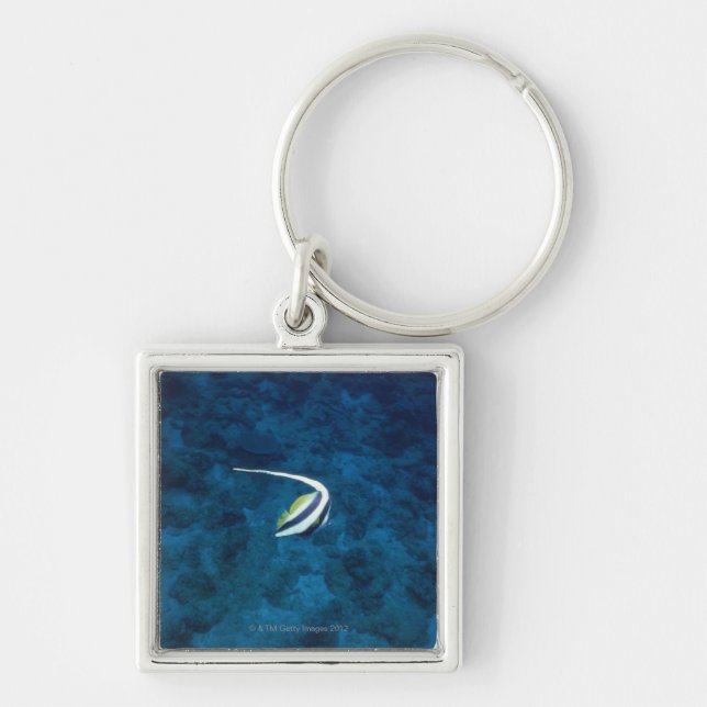 Fish 2 key ring (Front)