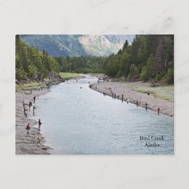 Fish Alaska! Postcard (Front)