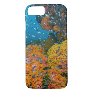 Fish Among Coral Reef iPhone 8/7 Case