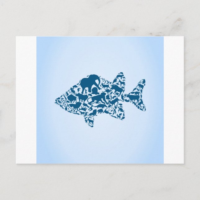 Fish an animal postcard (Front)