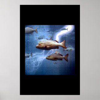 fish and lightning poster