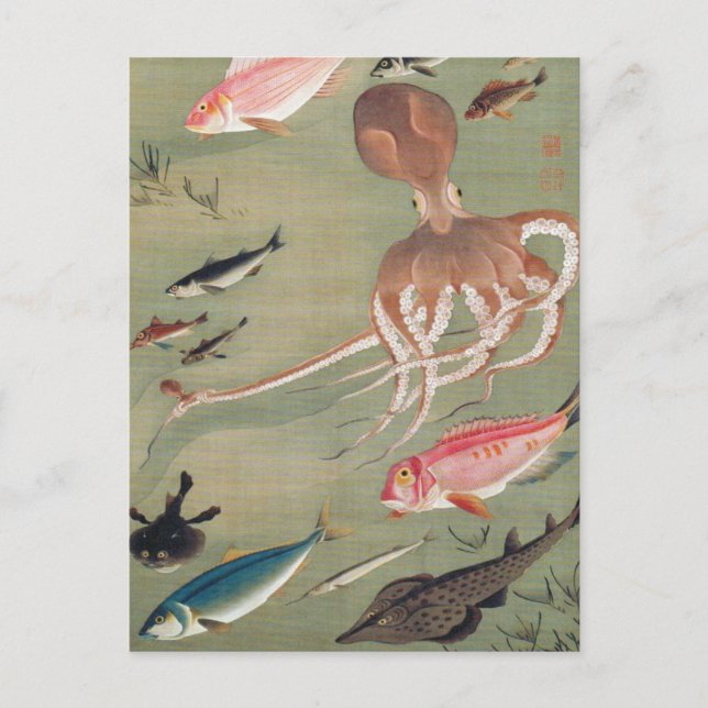 Fish and Octopus Marine Life Illustration Postcard (Front)