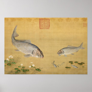 Fish & Aquatic Plants by Giuseppe Castiglione Poster