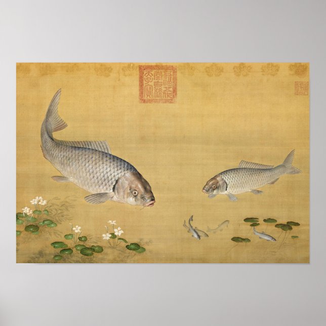 Fish & Aquatic Plants by Giuseppe Castiglione Poster (Front)