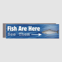 Fish Are Here...
