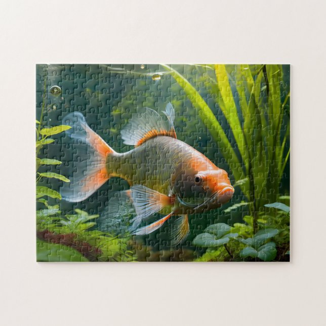 Fish Art 2 Easy brain Art Puzzle Photo Puzzles Int (Horizontal)