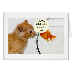 FISH ASKS KITTEN WHO IS "21"