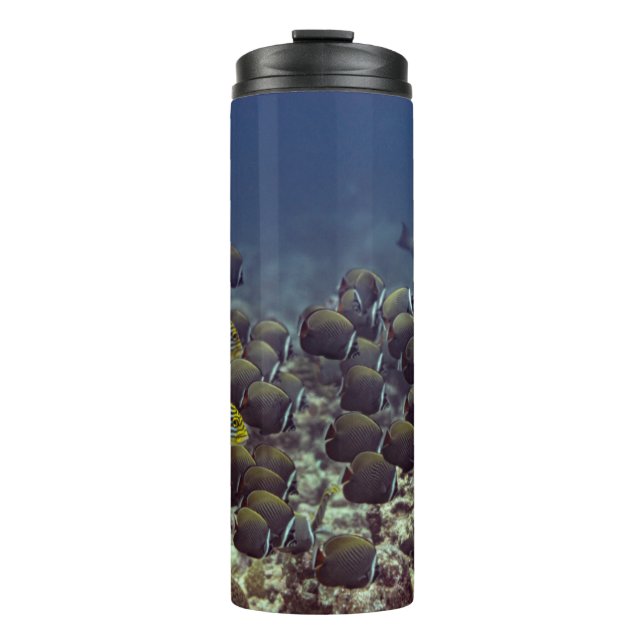 Fish at coral reef in the Oceanbackground,colourfu Thermal Tumbler (Front)