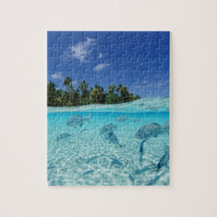 Fish at Sea Jigsaw Puzzle