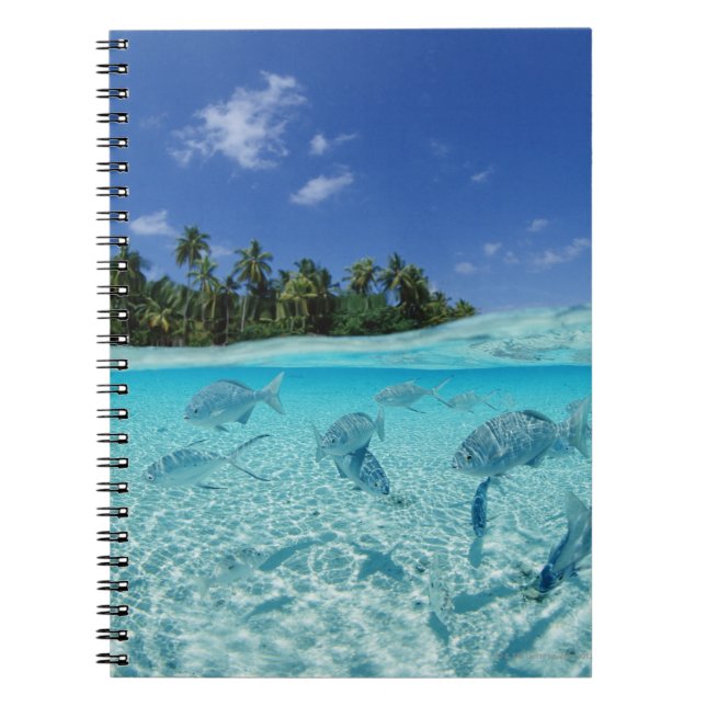 Fish at Sea Notebook (Front)