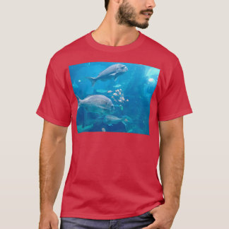 Fish at the aquarium T-Shirt