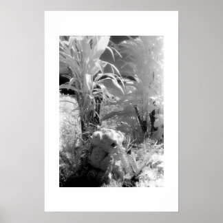 Fish at the Garden of Eden Poster