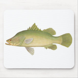 Fish - Barramundi - Lates calcarifer Mouse Mat