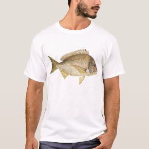Fish - Black Bream - Mylio australis T-Shirt