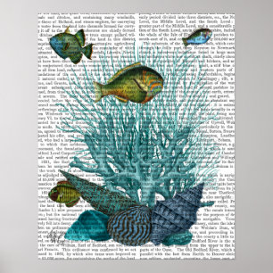 Fish Blue Shells and Corals Poster