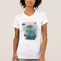 Fish, Blue Shells and Corals