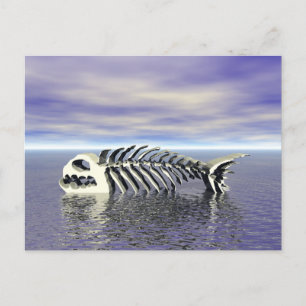 Fish Bones Postcard