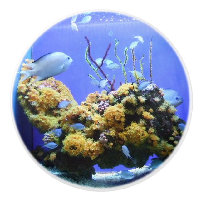 Fish Bowl Blue Fish Aquarium Ceramic Knob (Front)