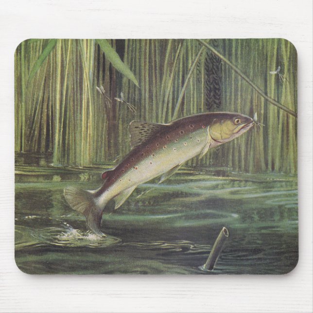 Fish - Brown Trout - Salmo trutta Mouse Mat (Front)