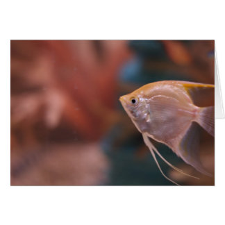 "fish" by Larry Coressel