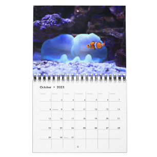 Fish Calendar