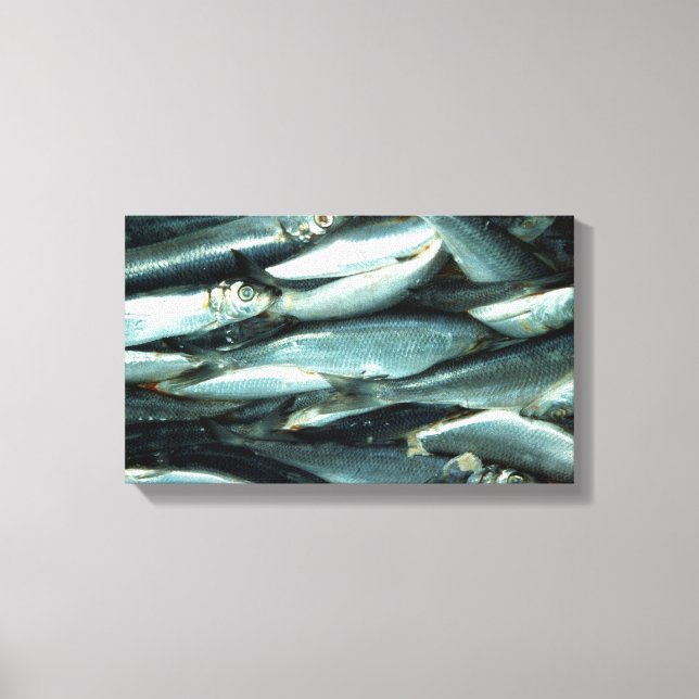Fish Canvas Print (Front)