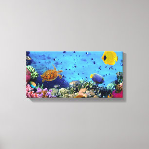 Fish Canvas Print