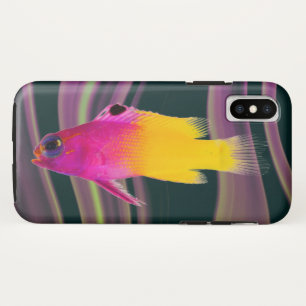 Fish iPhone X Case