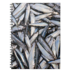 Fish catch notebook