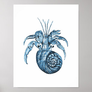 Fish coastal nautical beach sea ocean blue poster