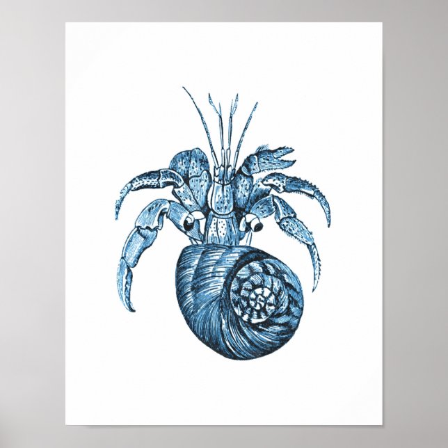 Fish coastal nautical beach sea ocean blue poster (Front)