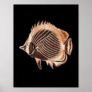 Fish coastal nautical ocean beach sea black poster