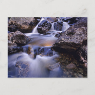 Fish Creek Falls near Steamboat Springs Colorado Postcard