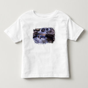 Fish Creek Falls near Steamboat Springs Colorado Toddler T-Shirt