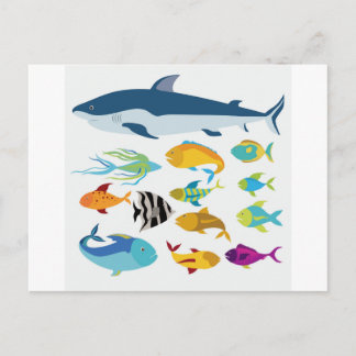 fish design postcard