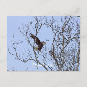 Fish Dinner Delivery Painterly Thank You Postcard