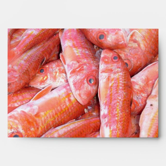 Fish Envelopes (Front)