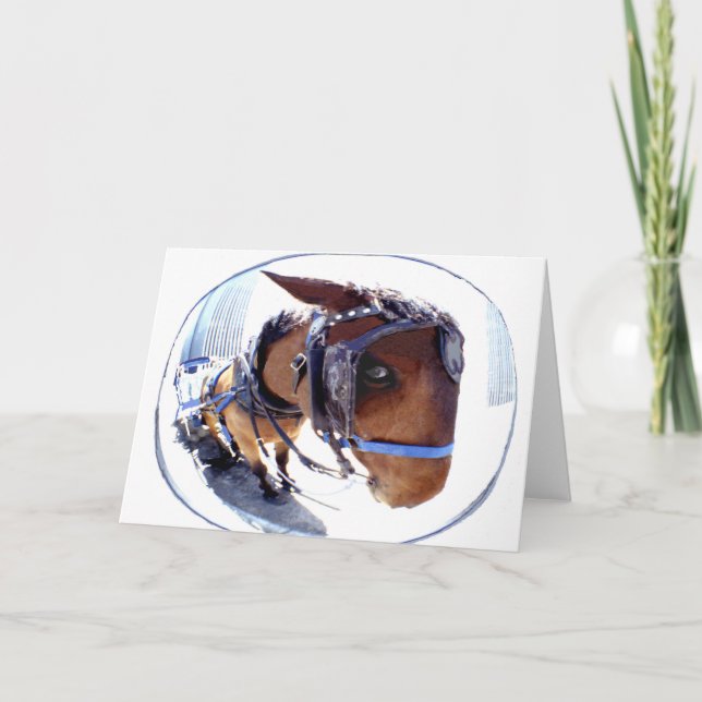 Fish-Eye Horse and Carriage Card (Front)